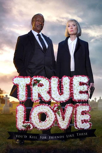 The poster features two men and a woman in formal attire against a dramatic sky, with the title "TRUE LOVE" prominently displayed in bold, textured letters. The mood is serious and romantic, suggesting a drama about genuine connection.