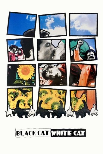 The poster features a collage of images depicting a family of cats in various settings, including a sunny day, a snowy scene, and a park. The colors are vibrant, with blues, greens, and yellows dominating the composition. The mood is warm and nostalgic, evoking a sense of family and companionship.