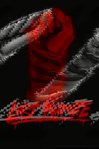 The Last Kumite poster