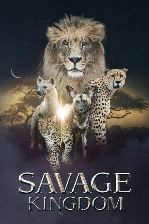 The poster features a majestic lion standing tall against a dark, starry sky, surrounded by four cheetahs in various poses. The warm golden glow from the cheetahs contrasts with the deep blue and purple hues of the background, creating a dramatic and intense atmosphere. The title "Savage Kingdom"...