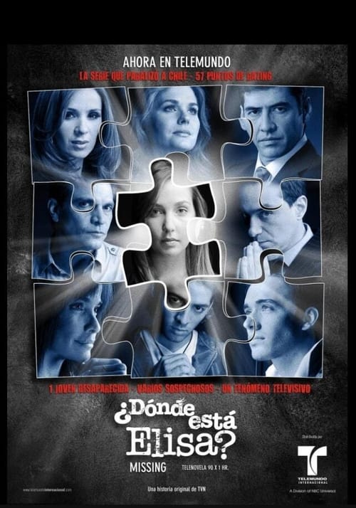 The poster features a dark, moody atmosphere with muted blue tones. Central to the image is a puzzle piece, symbolizing missing pieces of a story. Surrounding the central figure are various characters, each with distinct expressions and clothing, hinting at mystery and intrigue. The overall mood ...