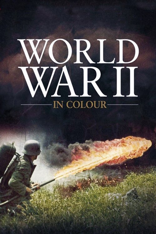 The poster depicts a soldier firing a flamethrower, with a dramatic explosion of orange and yellow flames against a dark, stormy sky. The muted greens of the grass and the sepia tones of the sky evoke a somber, historical atmosphere. The title "World War II in Colour" is prominently displayed in ...