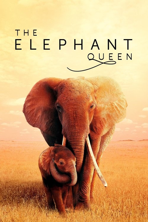 The poster features a majestic elephant and its calf in a golden sunset setting, evoking a sense of harmony and natural beauty.