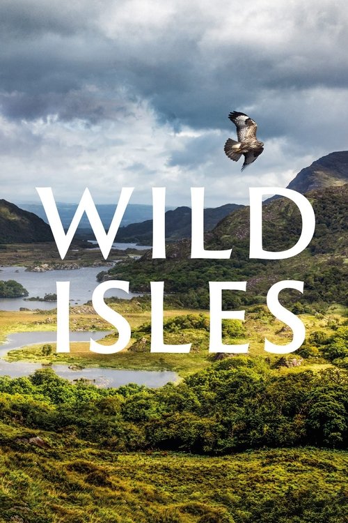 The poster features a lone figure in a white shirt and dark pants, seemingly mid-air against a dramatic sky filled with swirling clouds. The foreground showcases lush green hills and a serene body of water, while the title "WILD ISLES" is prominently displayed in bold, white letters. The overall ...