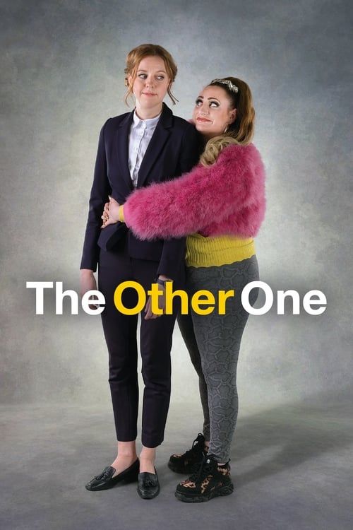 The poster features two women standing against a gray background, with one in a dark suit and the other in a pink fur coat. The mood is playful and slightly humorous, suggesting a comedy or sitcom theme. The title "The Other One" is prominently displayed in bold yellow and white text.