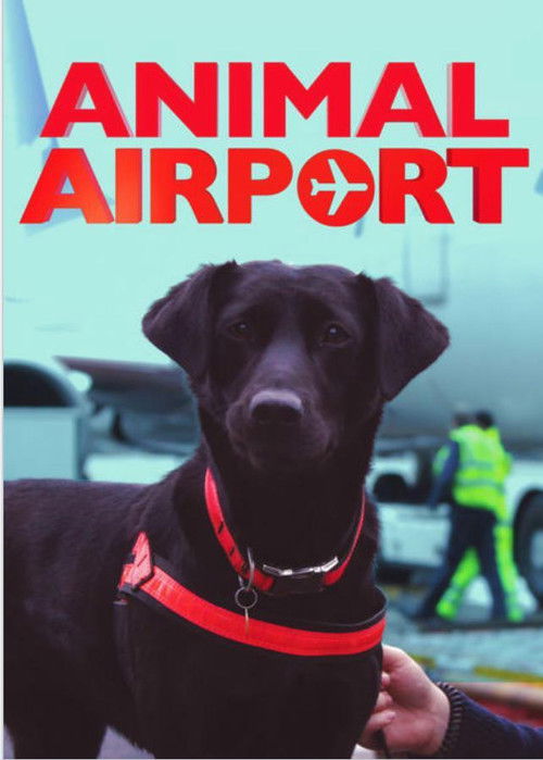 The poster features a black dog wearing a red harness, set against a backdrop of a busy airport scene. The bold red title "ANIMAL AIRPORT" dominates the top, creating a striking contrast with the muted background. The mood is humorous and lighthearted, capturing the playful spirit of the show.