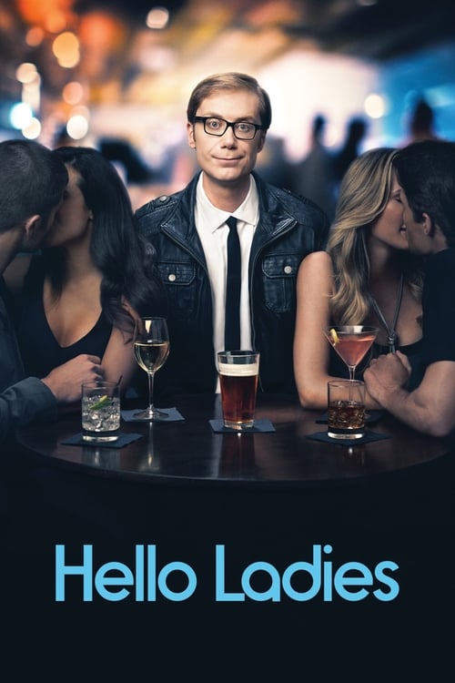 The poster features a stylish young man in glasses and a leather jacket, surrounded by three women in dimly lit bars. The warm, bokeh background suggests an evening social scene. The title "Hello Ladies" is prominently displayed in bold blue text at the bottom, evoking a sense of fun and camarade...