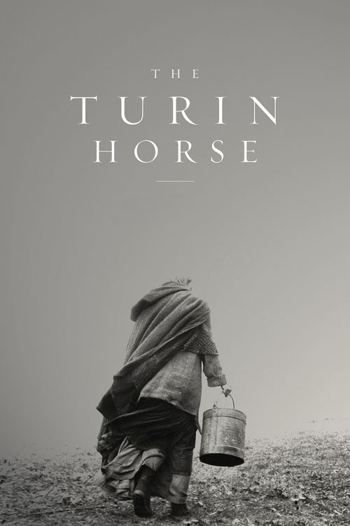 The Turin Horse poster features a lone figure carrying a bucket, evoking a sense of solitude and hardship. The muted tones and simple composition suggest themes of rural life and resilience.