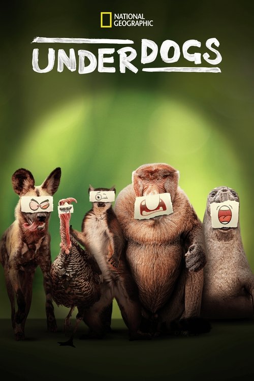 The National Geographic poster features four anthropomorphic animals—dogs, a bear, and a rabbit—standing in a dimly lit room with green lighting. They wear white masks, creating a mysterious and humorous atmosphere. The bold title "Underdogs" dominates the top, emphasizing their unlikely journey.
