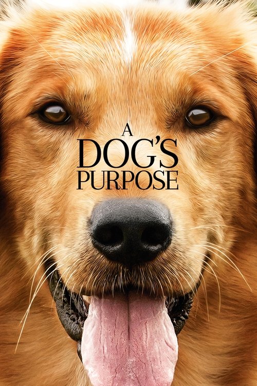 The golden retriever's warm fur dominates the poster, with a soft, inviting expression that conveys a sense of companionship. The title "A Dog's Purpose" is elegantly placed in the center, suggesting a heartfelt narrative about the bond between humans and animals.