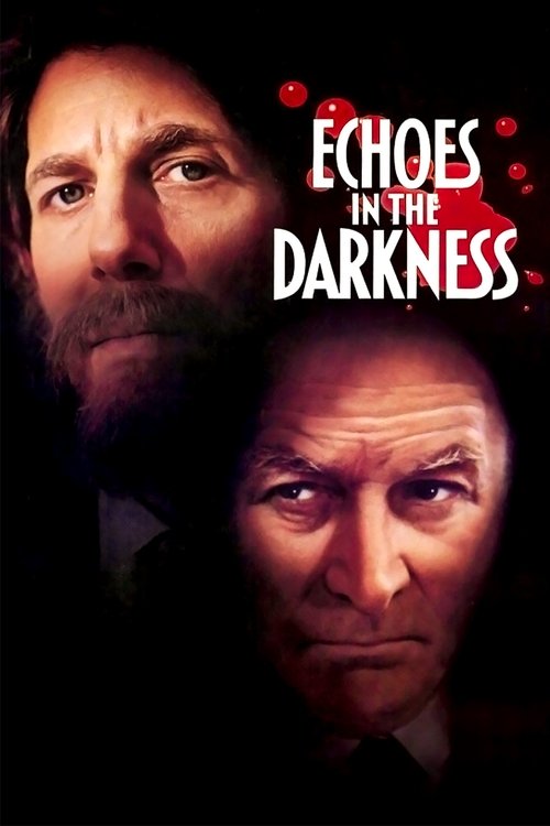 Echoes in the Darkness poster