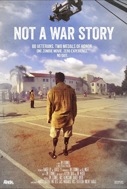 The poster features a lone soldier in a tan uniform walking away from the camera, evoking a sense of solitude and resilience. The muted earth tones of the background contrast with the vibrant blue sky and white clouds, creating a somber yet hopeful atmosphere. The film's title, "Not a War Story,"...