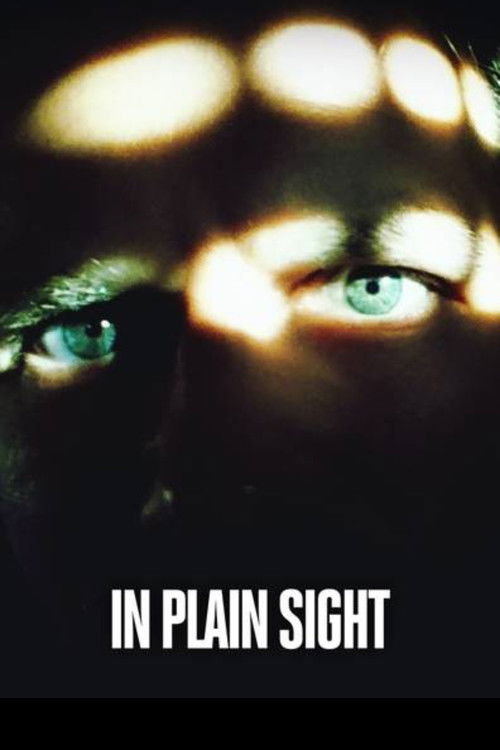 The poster features a close-up of a person's face with intense, piercing blue eyes glowing against a dark background. The warm, blurred bokeh lights in the upper corners create an eerie, mysterious atmosphere. The bold white text "IN PLAIN SIGHT" at the bottom reinforces the chilling, suspenseful...