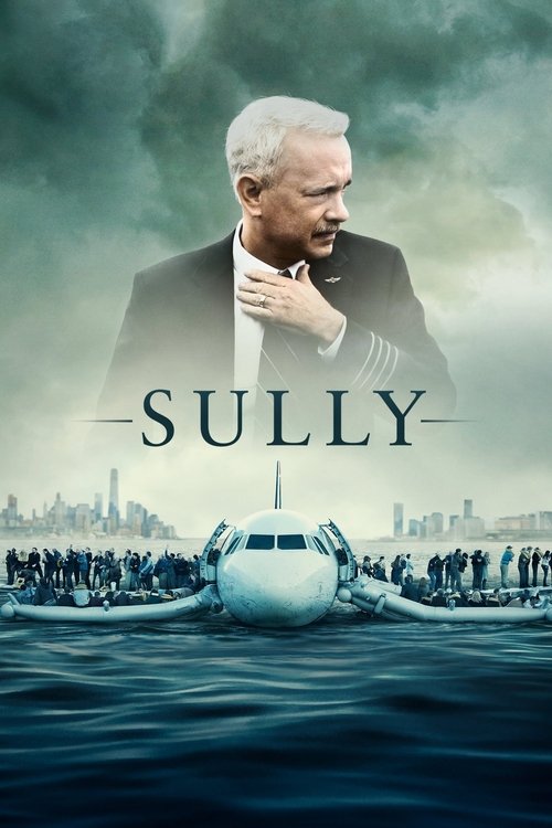 The poster features a somber image of a man with white hair, his hand resting on his chest, set against a backdrop of a large airplane on the water. The muted colors and tense atmosphere evoke a sense of suspense and gravity, hinting at the dramatic and serious nature of the film.