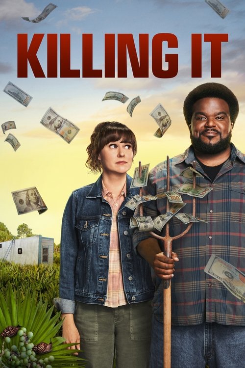 The poster features two characters against a vibrant sunset backdrop, with money floating around them. The man in the plaid shirt holds a money tree, while the woman in denim looks concerned. The warm colors and dynamic composition evoke a sense of mystery and intrigue.