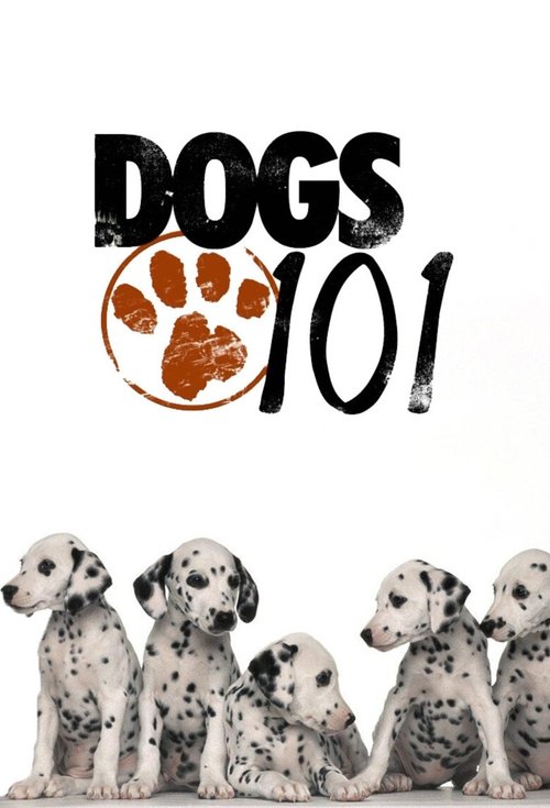 The poster features a group of Dalmatian puppies sitting side by side, exuding a playful and friendly mood. The bold black text "DOGS 101" dominates the top, with a paw print icon adding a touch of whimsy. The white background enhances the vibrant colors of the puppies' spotted fur, creating a ch...