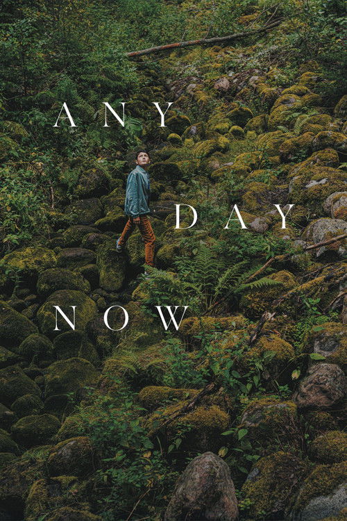 Any Day Now poster