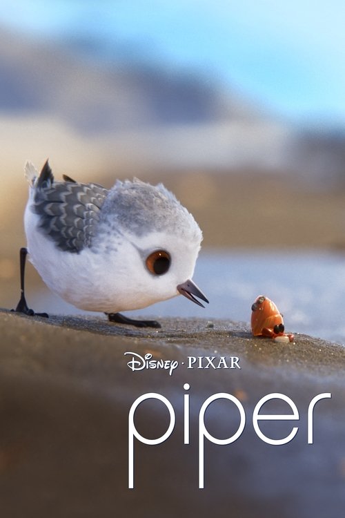The poster features a charming little piper perched on a sandy beach, its soft gray and white feathers contrasting with the warm, golden hues of the sand and sky. The Disney Pixar logo and title are elegantly placed at the bottom, evoking a serene and whimsical mood that captures the innocence of...