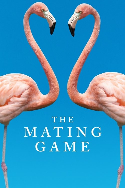 The Mating Game poster