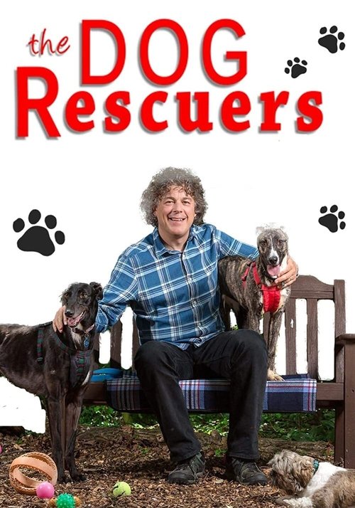 The poster features Alan Davies sitting on a wooden bench surrounded by four dogs of various breeds. The scene is vibrant with warm colors, capturing a heartwarming moment of companionship. The playful and affectionate mood is emphasized by the dogs' curious expressions and the cheerful atmosphere.