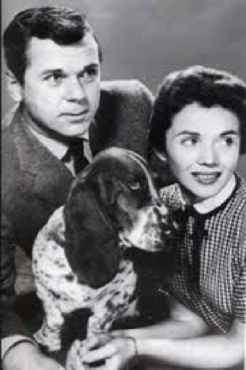 The poster features a man and woman in a checkered dress, with a dachshund nestled between them. The man looks thoughtful, while the woman smiles warmly. The muted tones of the image evoke a nostalgic, timeless mood.