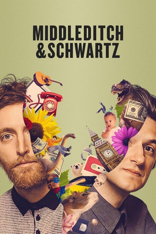 The poster features two men with expressive faces, surrounded by vibrant, surreal elements like colorful birds, a house, and a camera. The muted green background contrasts with the bright, playful colors, creating a whimsical and energetic mood.