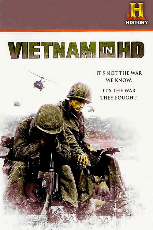 The poster features soldiers in military uniforms, with one prominently holding a rifle and another beside them. The muted earth tones of the uniforms and the dusty, war-torn background evoke a somber mood. The title "VIETNAM IN HD" is bold and clear, while the tagline "IT'S NOT THE WAR WE KNOW, ...