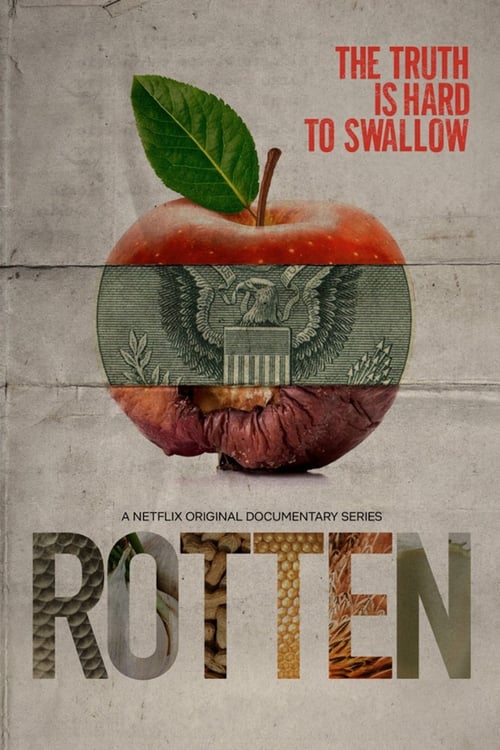 The poster features a central red apple with a green leaf, revealing a metallic, cracked surface beneath. The title "Rotten" is prominently displayed in bold, distressed lettering. The muted colors and weathered texture evoke a somber, reflective mood, suggesting themes of decay and hidden truths.