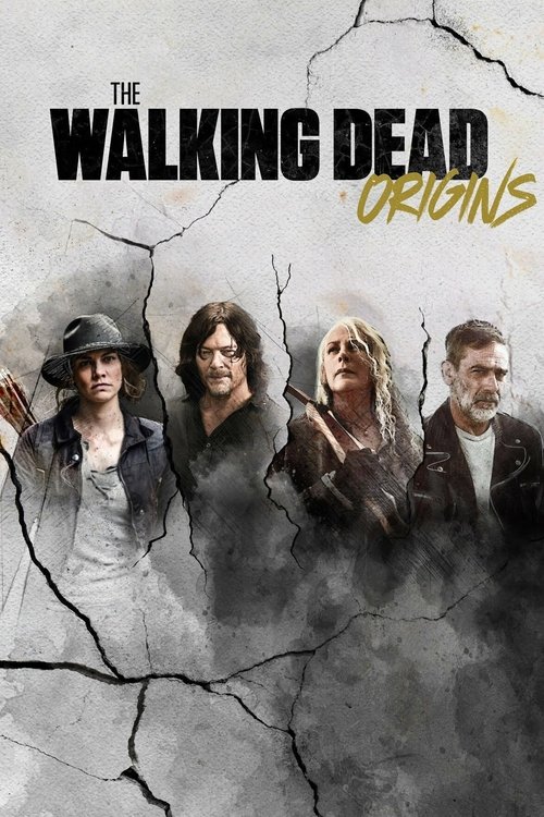The poster features four characters against a cracked, ominous background, evoking a sense of survival and danger. The muted tones of gray and black dominate the image, with the title "The Walking Dead: Origins" prominently displayed in bold, distressed typography.