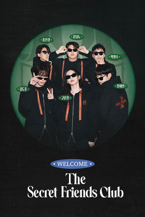 The Secret Friends Club poster