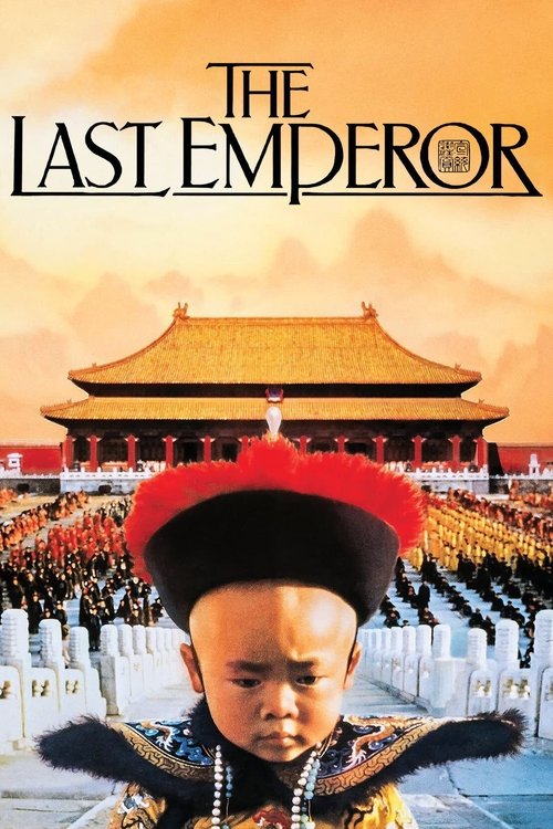 The poster features a young emperor in traditional attire, surrounded by soldiers in formal uniforms. The scene is set against a backdrop of the Forbidden City, bathed in warm golden hues. The mood is solemn and historical, capturing the grandeur and gravity of the imperial court.