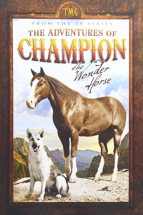 The poster features a majestic brown horse standing proudly against a backdrop of distant mountains and a clear sky. A small white dog sits calmly beside it, while a fluffy white cat rests nearby, all set against a warm, earthy background. The artwork conveys a sense of adventure and tranquility,...