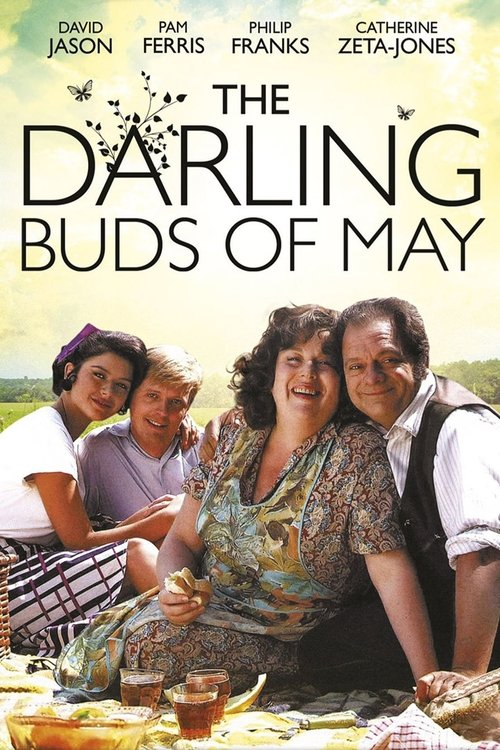 The poster features three women in a warm, sunlit outdoor setting, exuding a joyful and nostalgic mood. The vibrant colors of their dresses and the natural backdrop create a cheerful atmosphere, reflecting the show's themes of childhood memories and friendship.