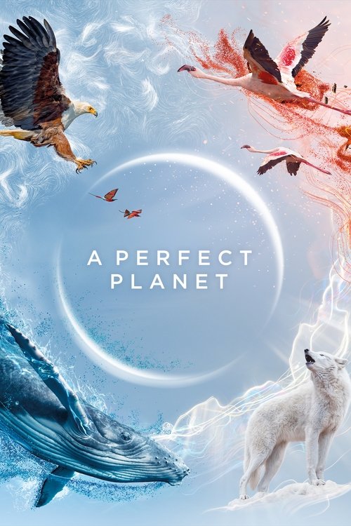 This poster features a serene, ethereal landscape with a glowing white orb in the center, surrounded by vibrant birds in red, orange, and black feathers. A majestic blue whale glides gracefully on the left, while a white wolf stands peacefully on the right. The overall mood is one of tranquility ...