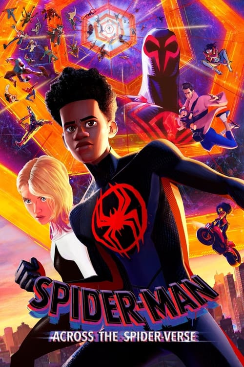 The poster features a dynamic scene with Spider-Man in a black suit with a red spider emblem, surrounded by other characters in vibrant colors like orange, purple, and blue. The mood is energetic and adventurous, capturing the essence of the animated film's action-packed storyline.