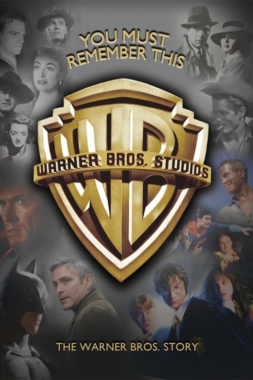 The poster features a golden Warner Bros. shield with the iconic "WB" logo, surrounded by a collage of diverse characters in various poses and expressions. The background is dark with muted tones, creating a mysterious and dramatic atmosphere. The text "You Must Remember This" and "The Warner Bro...