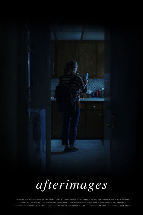 Afterimages poster