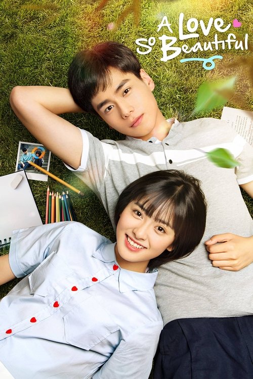 The poster features two young people lying on a grassy field, radiating warmth and happiness. The soft green tones of the grass contrast with their light clothing, creating a serene and inviting atmosphere. The title "A Love So Beautiful" is elegantly displayed in the top right corner, adding a t...
