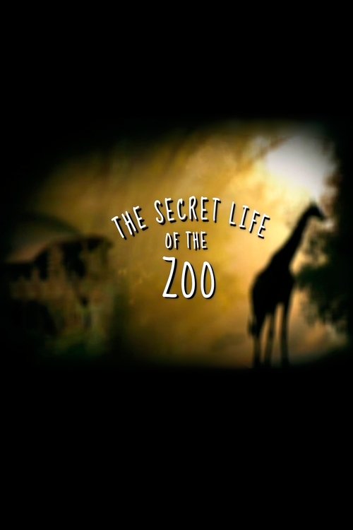 The poster features a silhouette of a giraffe against a warm, glowing sunset, evoking mystery and adventure. The title "The Secret Life of the Zoo" is elegantly displayed in white text, suggesting intrigue and hidden stories within the animal kingdom.