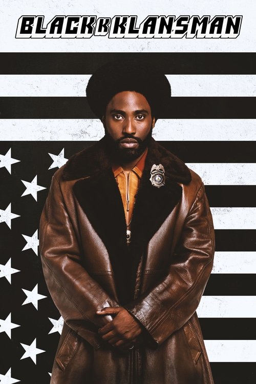 The poster features a powerful Black man in a leather jacket against an American flag backdrop, exuding strength and determination. The bold title and patriotic imagery evoke a sense of resilience and unity.