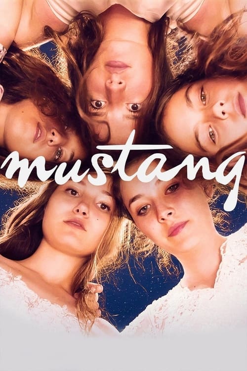 The poster features five young women lying face-to-face, their eyes gazing upward with expressions of wonder and curiosity. The warm, golden lighting enhances the intimate and joyful mood, while the bold white "mustang" text anchors the composition.