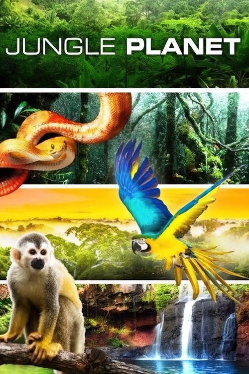 The poster showcases a vibrant jungle scene with a monkey sitting on a log and a colorful macaw flying above. The lush greenery and waterfalls create a serene yet dynamic atmosphere, emphasizing the natural beauty of the jungle.