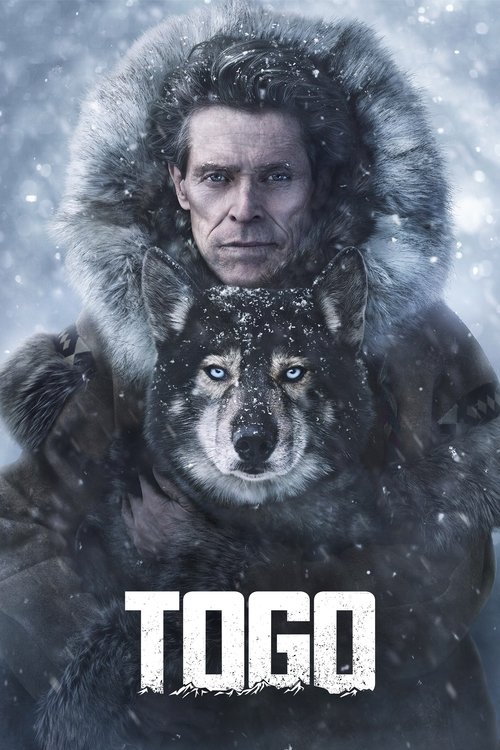 The poster features a rugged man in a heavy, fur-lined coat standing amidst a snowy landscape, with a fierce wolf staring back at him. The muted tones of gray and white convey a cold, mysterious atmosphere, while the bold, distressed font of "TOGO" adds a gritty, dramatic feel to the image.