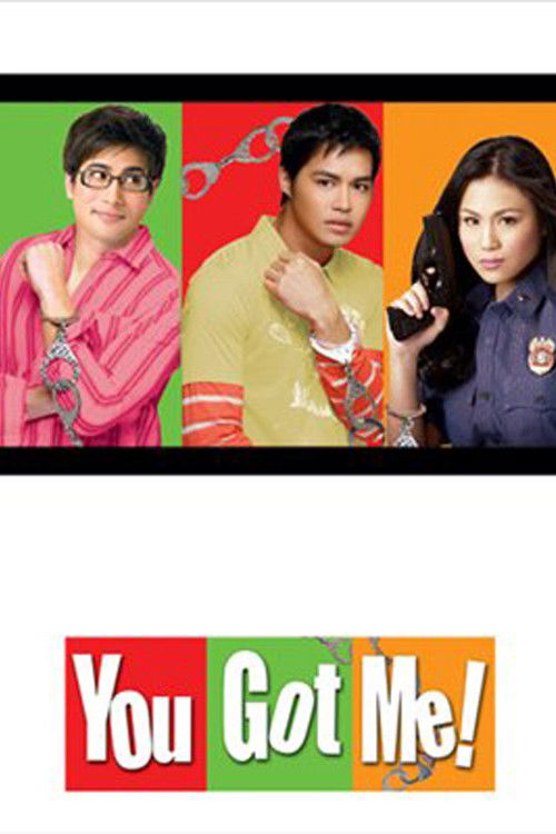 The poster features four characters in vibrant, contrasting colors against a black background. The characters exude confidence and humor, with one character holding a chain, suggesting a comedic or action-packed theme. The bold, colorful text at the bottom reinforces the movie's energetic and pla...