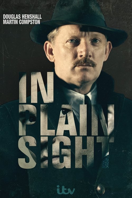 The poster features a man in a dark hat and coat, exuding mystery and authority. The title "IN PLAIN SIGHT" dominates the image in bold, textured letters. The muted color palette and shadowy tones create a suspenseful, noir atmosphere.