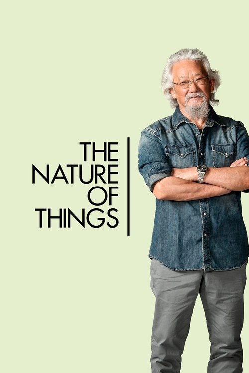 The poster features a man with gray hair and a beard standing with arms crossed against a soft, pale green background. The title "THE NATURE OF THINGS" is elegantly written in black text to the left, creating a minimalist yet sophisticated mood.