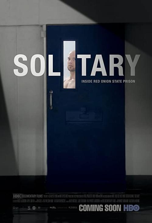 The poster features a solitary figure in a monochrome portrait against a stark blue door, evoking isolation and mystery. The minimalist design, with muted tones and shadowed atmosphere, suggests a thriller or suspense genre.