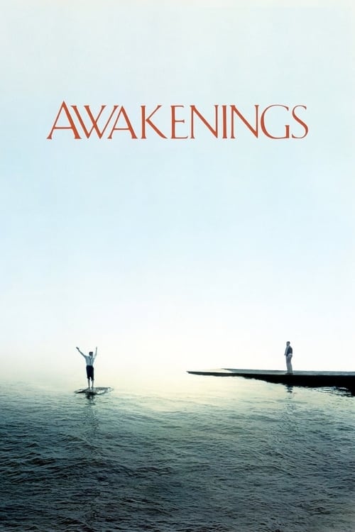 The poster features a serene, misty seascape with a lone figure standing on a pier, evoking a sense of solitude and introspection. The muted tones and soft lighting create a contemplative mood, while the title "AWAKENINGS" in elegant red letters anchors the composition.