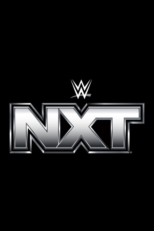 The sleek, metallic "NXT" logo dominates the black background, symbolizing the WWE's premier wrestling promotion. The bold, silver lettering exudes power and excitement, while the WWE crown above adds an air of prestige.
