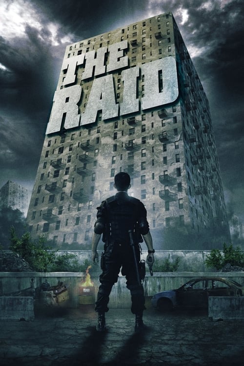 The poster features a lone figure in tactical gear standing before a towering, dilapidated building under a stormy sky. The muted tones of gray and brown evoke a grim, tense atmosphere, while the bold white text of "THE RAID" dominates the upper portion.